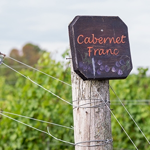 Weibel Weine - capisci - Cabernet Franc