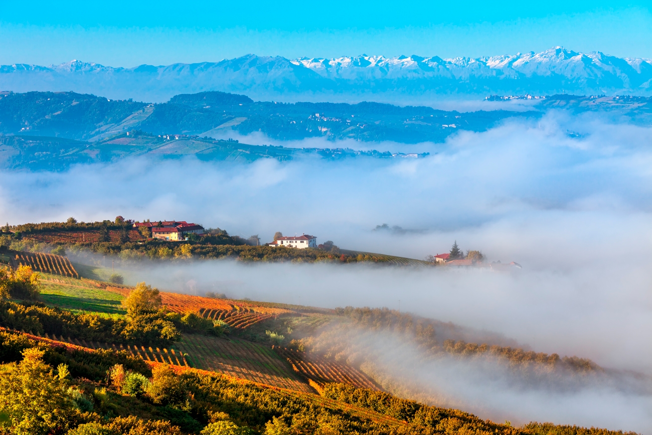 Weibel Weine | Piedmont