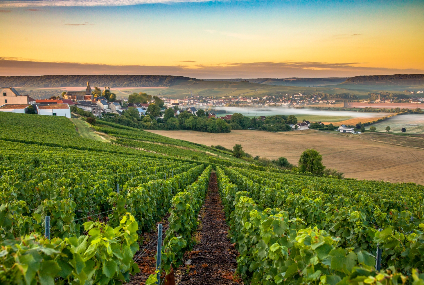 Weibel Weine | Champagne