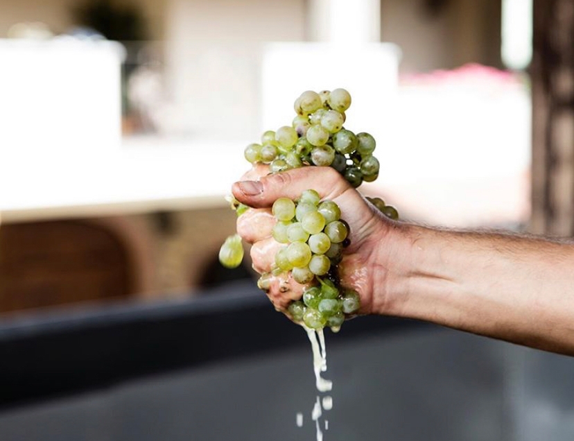 Weibel Weine | Chardonnay