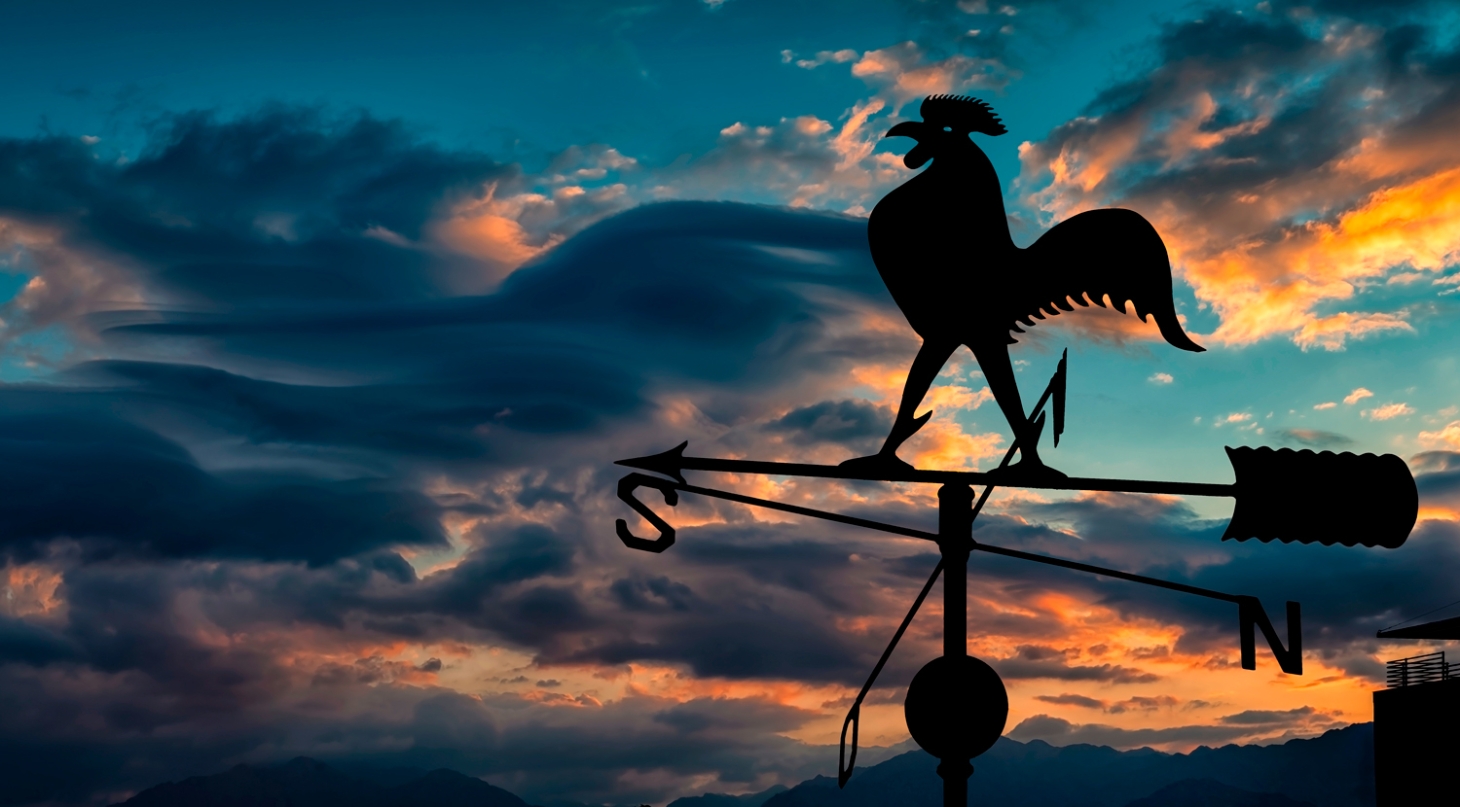 Weibel Weine | Chianti Classico