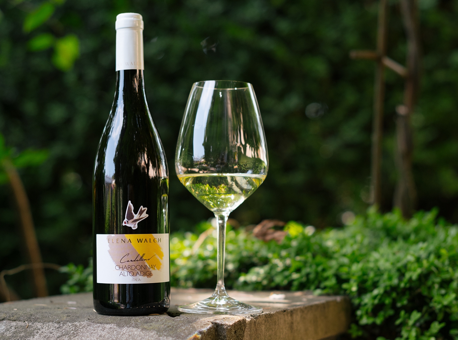 Weibel Weine | Elena Walch