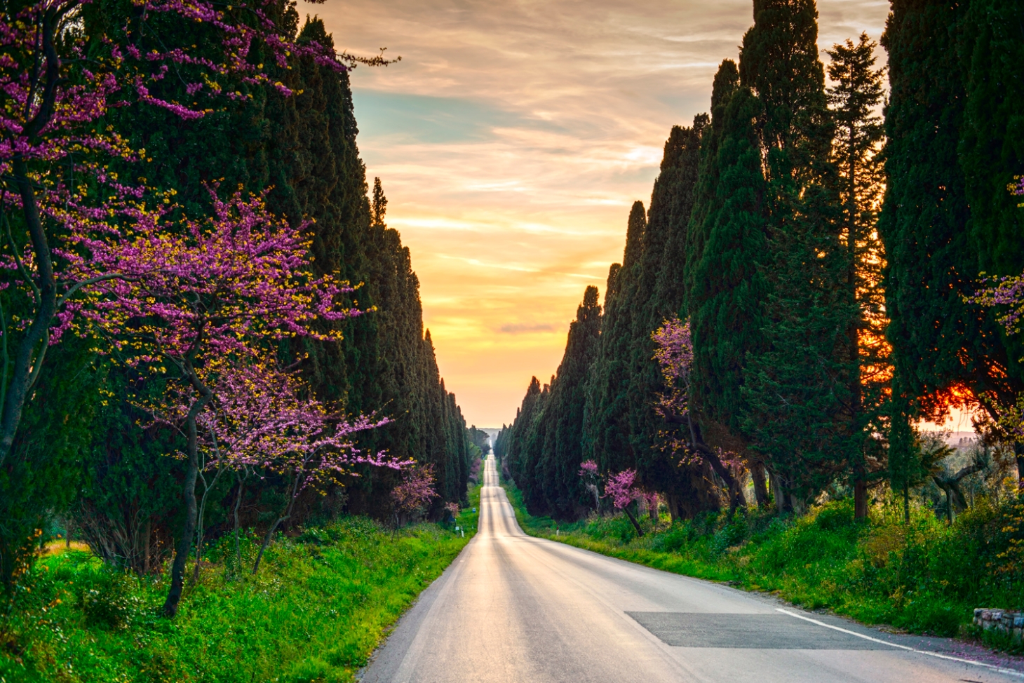 Weibel Weine | Mailing 03/2026