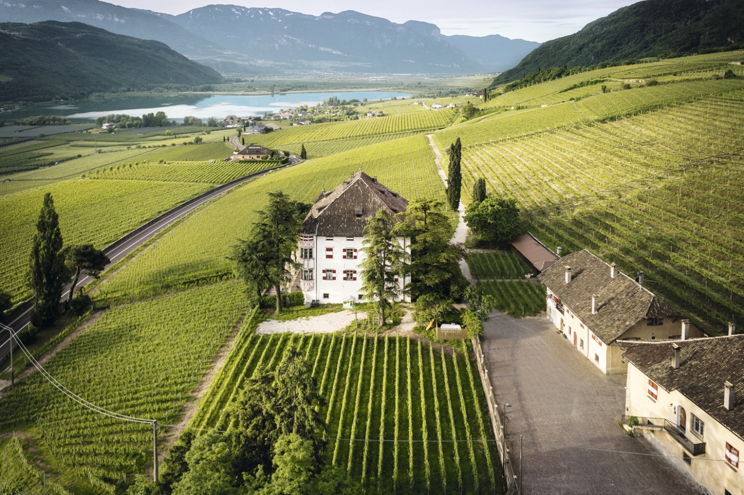 Weibel Weine | Vigna Castel Ringberg