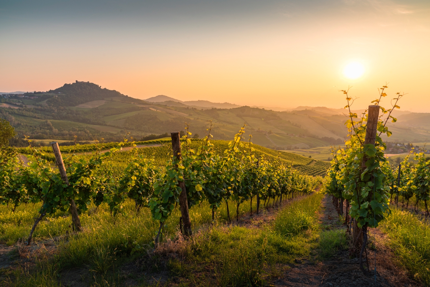 Weibel Weine | Lombardei