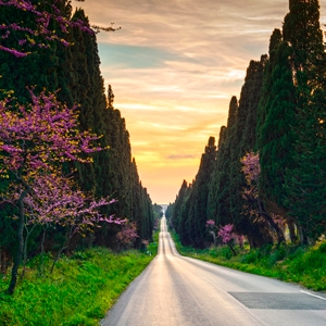 Weibel Weine | Mailing | 03-2026