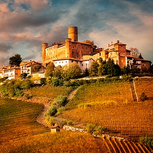 Weibel Weine - Capisci - Barolo