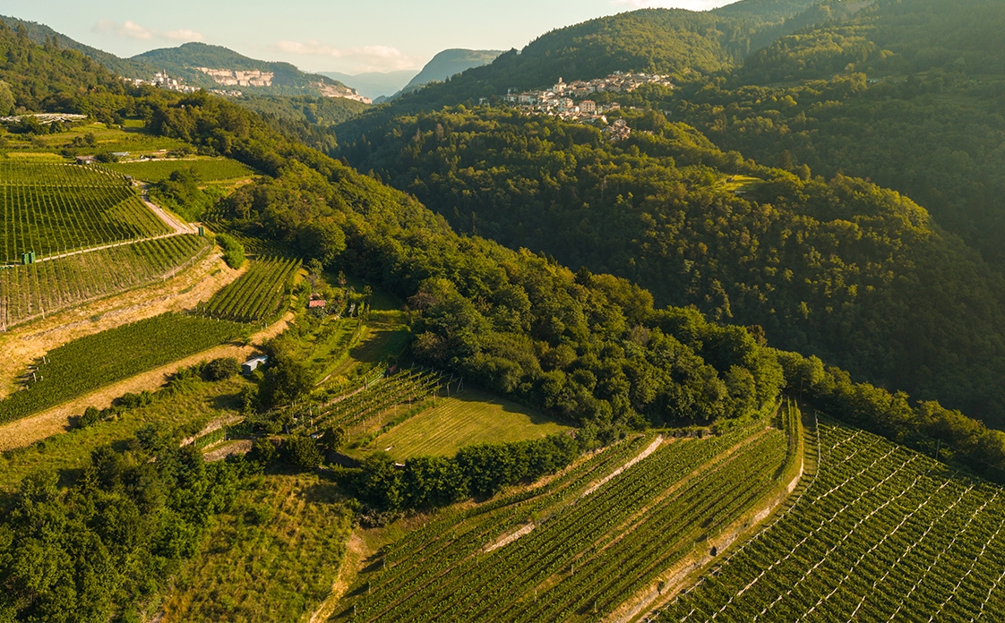 Weibel Weine | Moncalisse