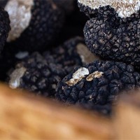 Marché aux truffes à Baar