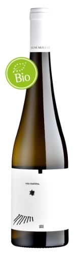 Fiano una Mattina DOC - Cantine Barone