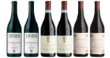 Dolcetto - der Sanftmütige - Degustationskarton