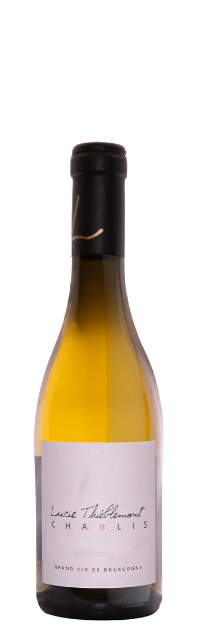 Chablis - Lucie Thiéblemont