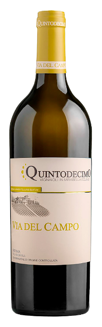Falanghina Irpinia «Via del Campo» DOC - Quintodecimo