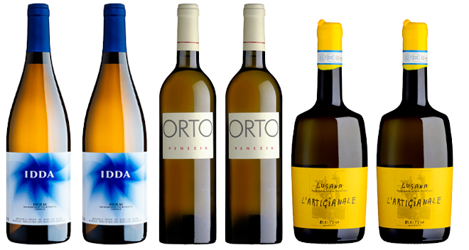 Carton de dégustation «Trésors oubliés du vin blanc» - Carton de dégustation