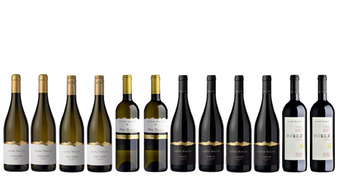 Alto Adige - Tasting Box