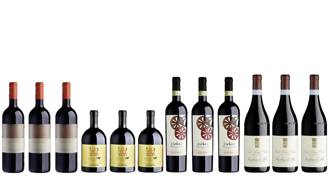 «Beerenstarke Barberas» - Degustationskarton