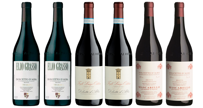 Dolcetto - the gentle one - Tasting Box