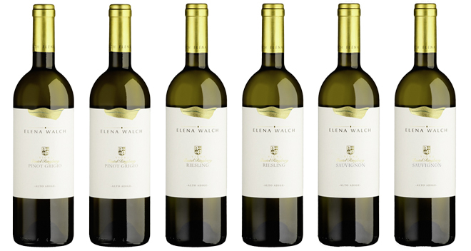 «Vigna Castel Ringberg» - Degustationskarton