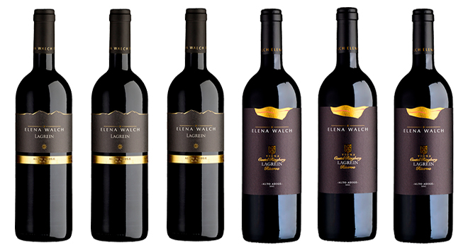 Lagrein - Tasting Box
