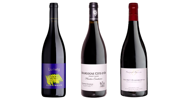 Pinot Noir - Elena Walch