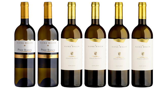 South Tyrolean white wines - tasting box