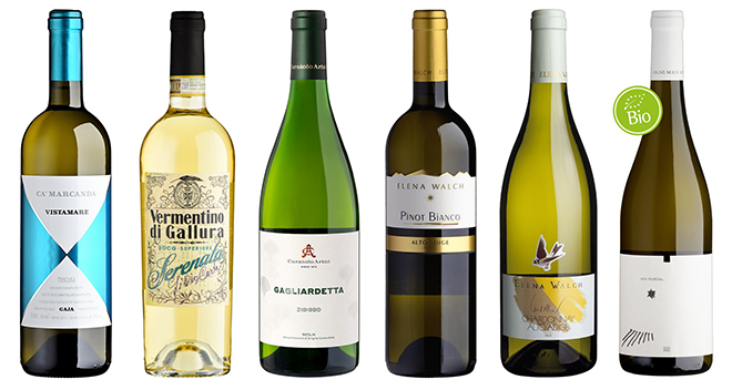 White wines in all facets - Tasting Box
