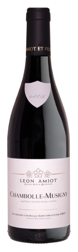 Chambolle-Musigny - Domaine Amiot & Fils
