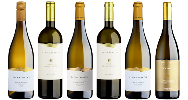 Elena Walch in weiss - Degustationskarton