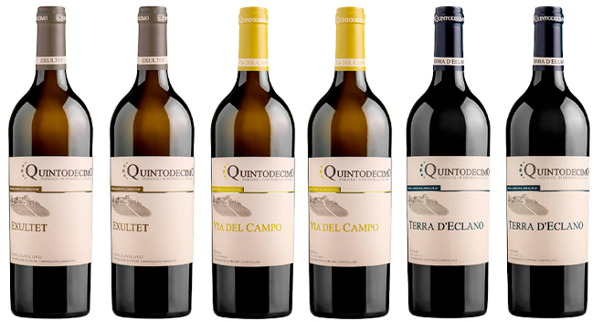 «Quintodecimo» - Tasting Box